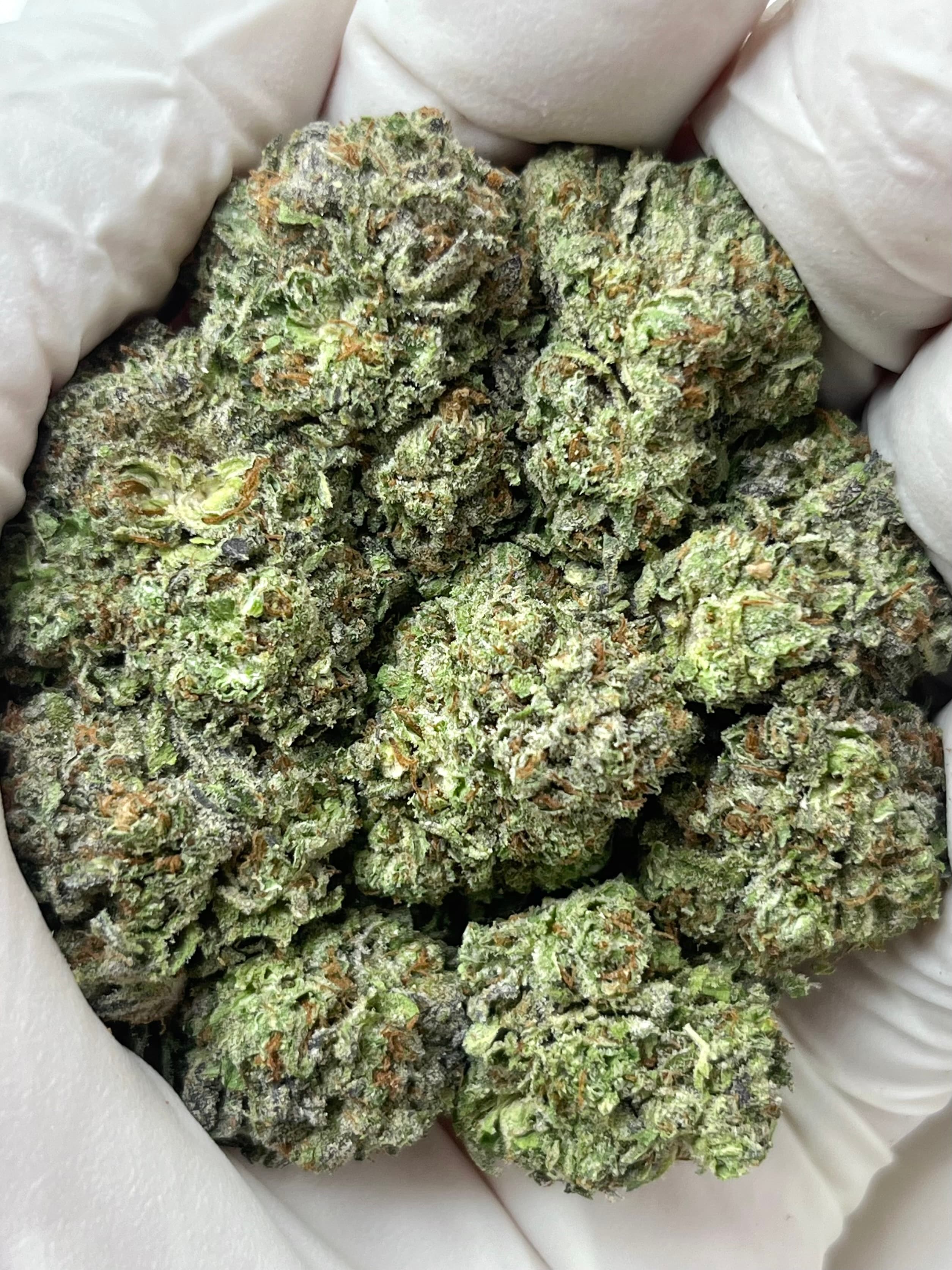 Black Ice, Big, representative photo of this strain