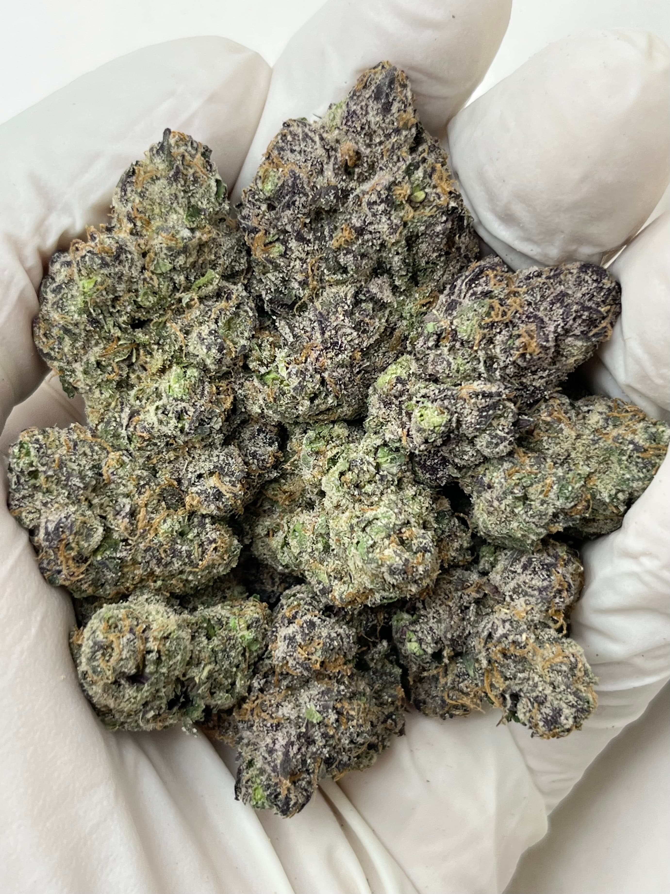 Warheadz, Big, photo