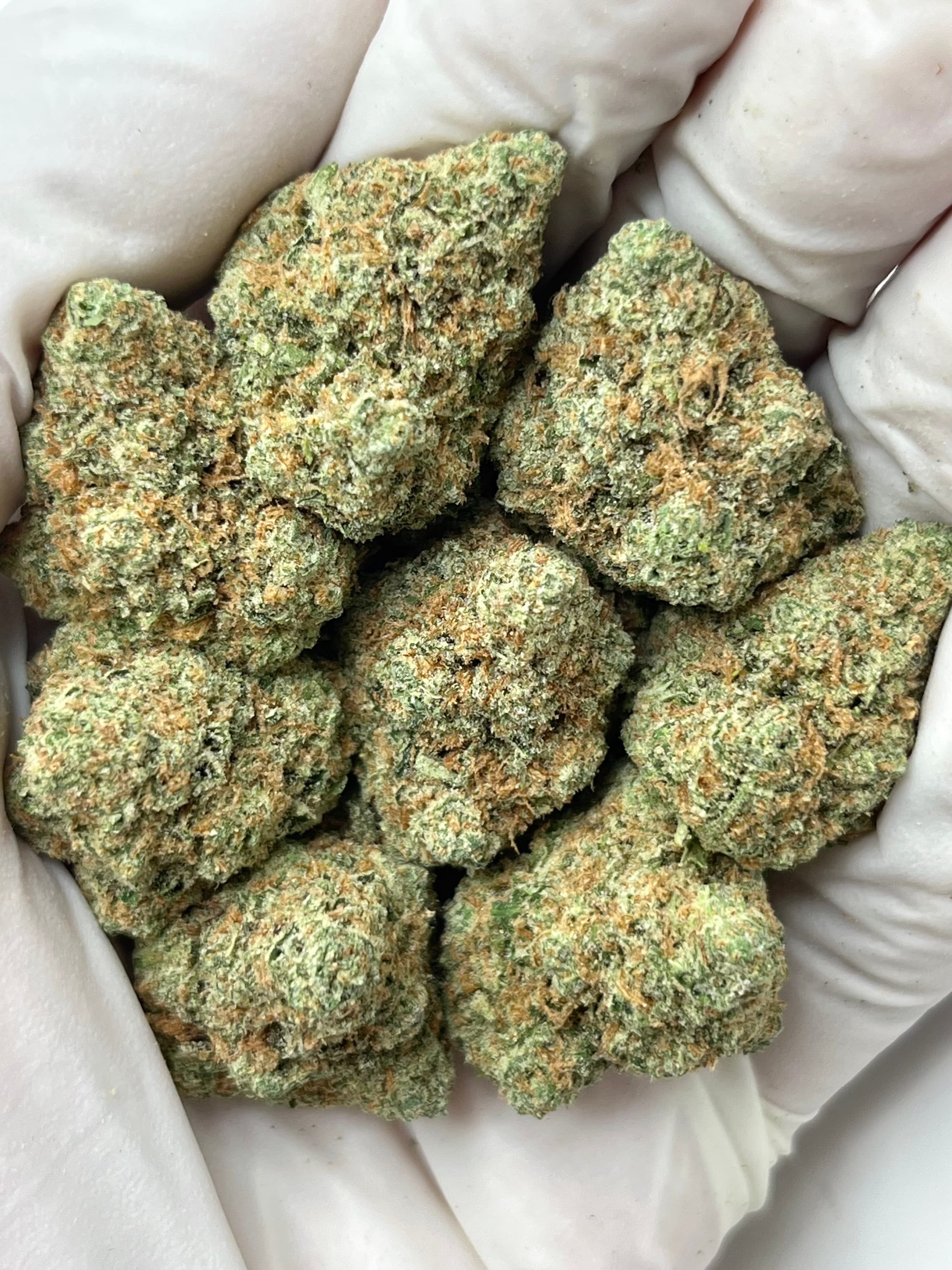 Apple Fritter, Big, representative photo of this strain