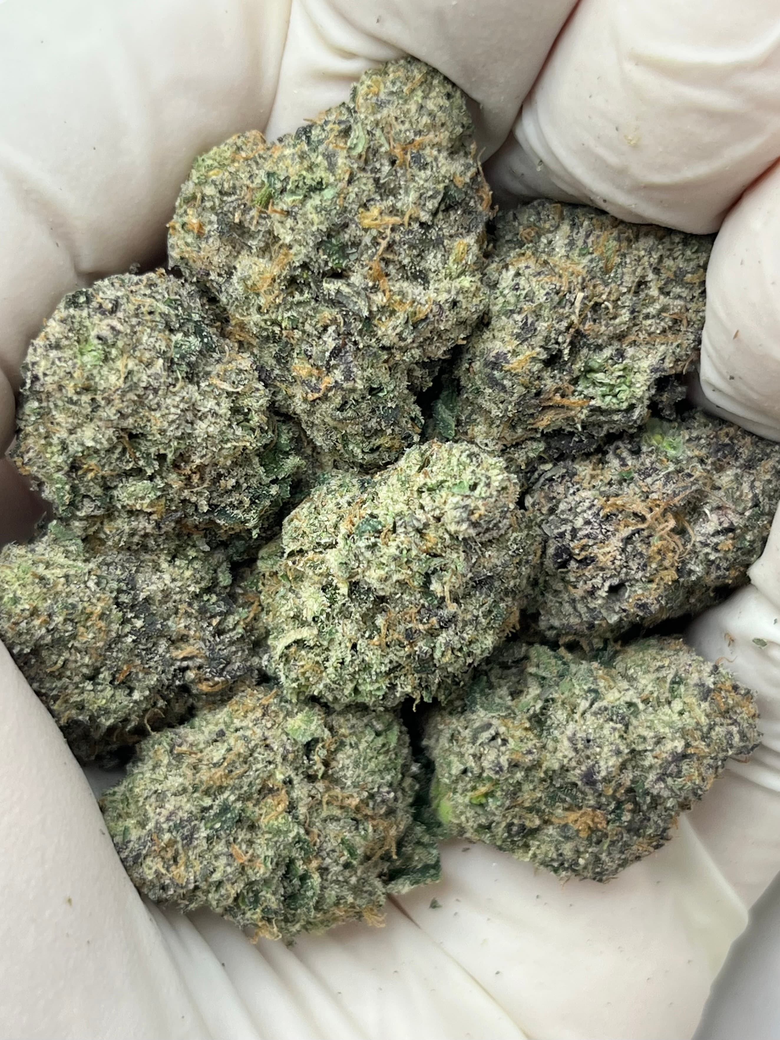 Cherry Fritter, Big, photo