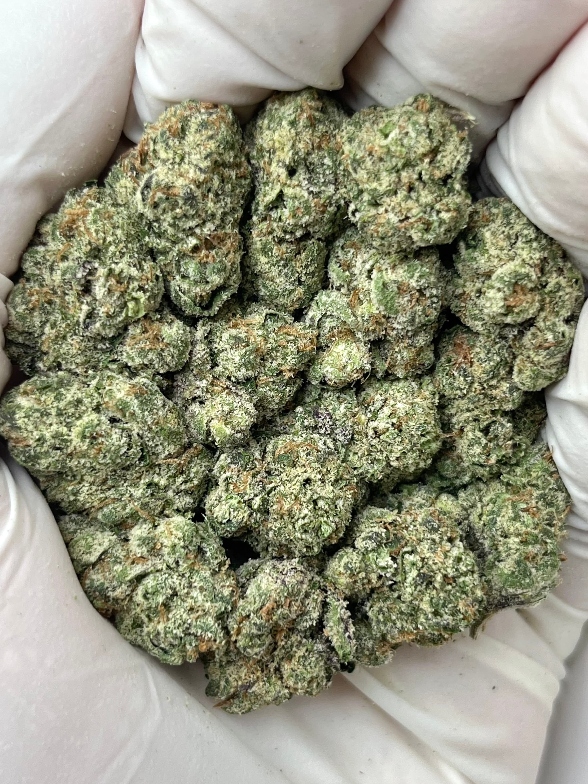 Gelato 33, Big, photo