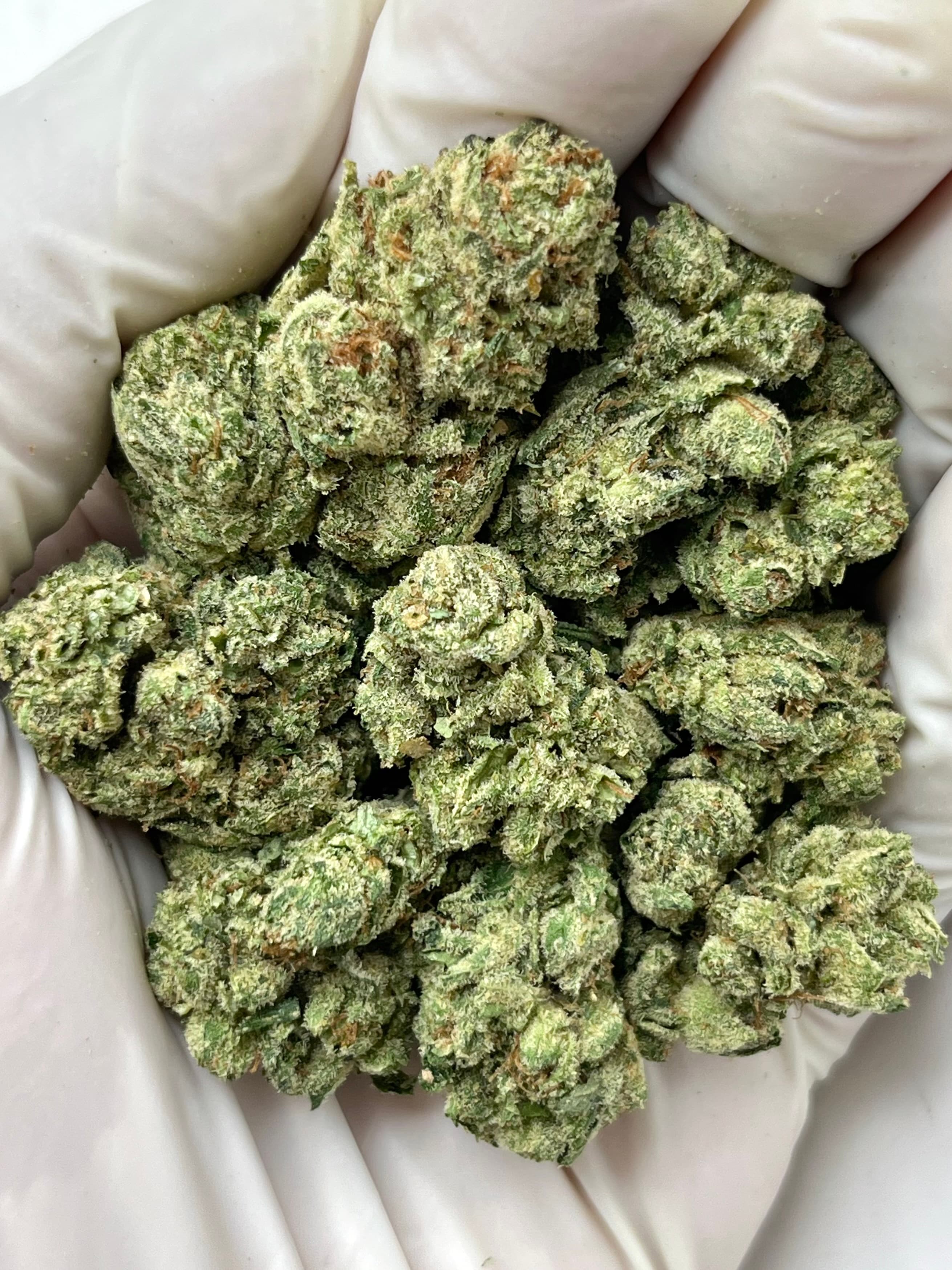 Banjo, Medium, representative photo of this strain