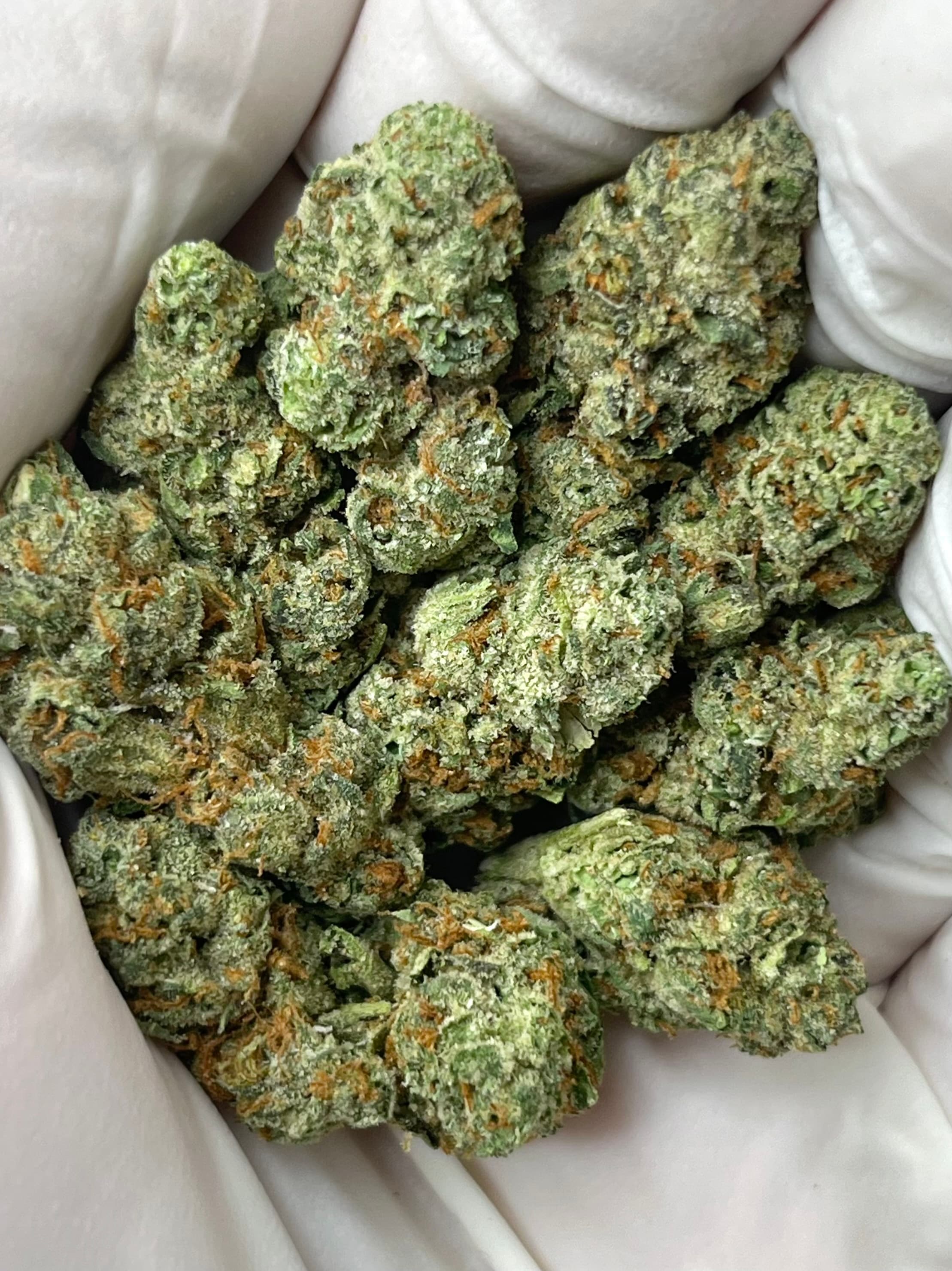 Guava Pie, Small, representative photo of this strain