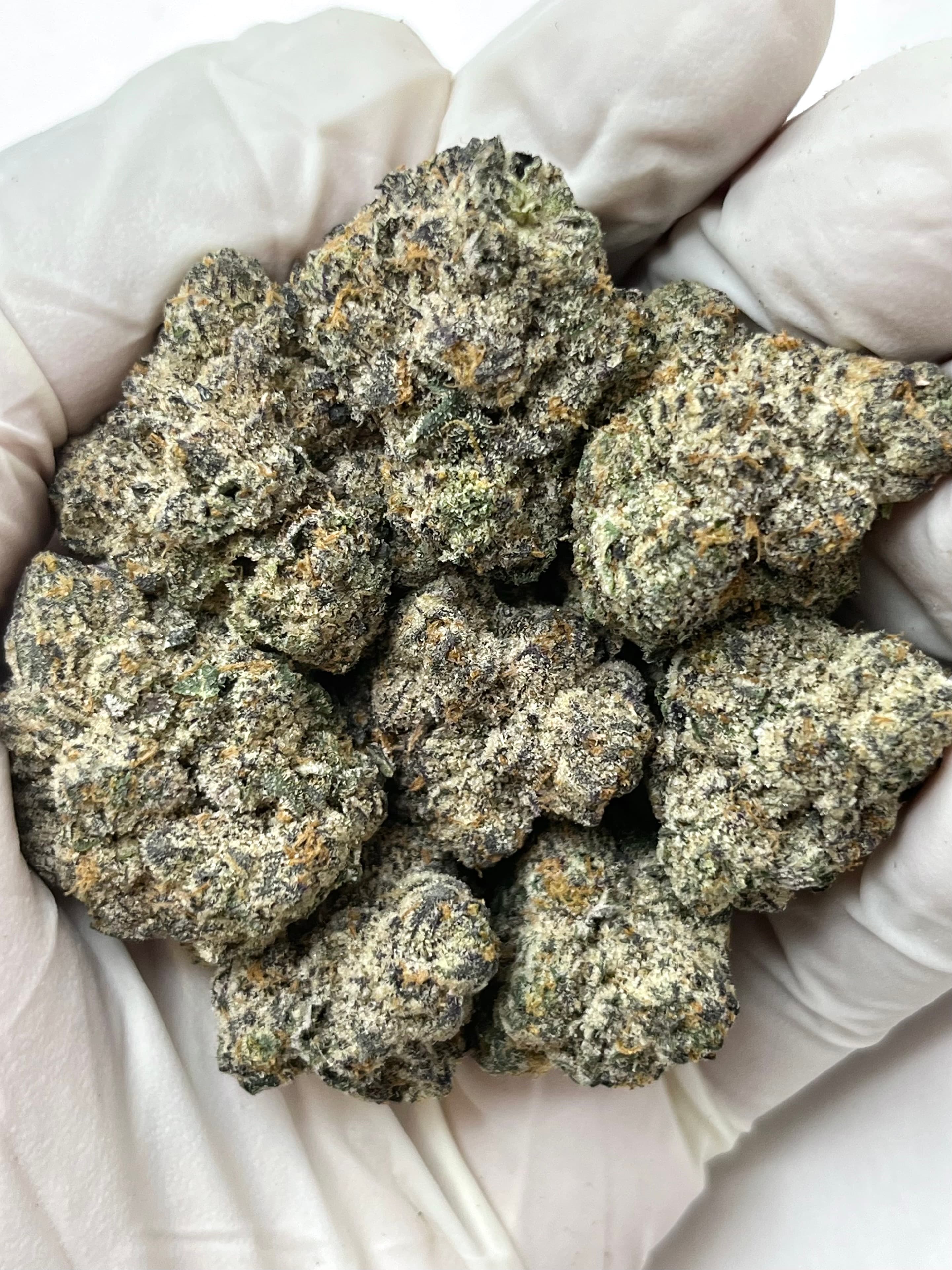 Berry Blender, Big, representative photo of this strain